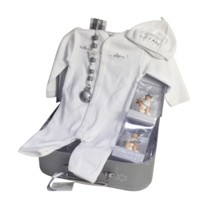 Grey suitcase with white romper, white hat, gray white wooden pacifier clip, 1st tooth box and 1st hair lock box, all contents of BamBam