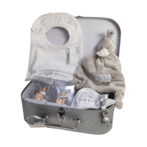 Gray suitcase with grey tuttle, white bib, white hat, 1st tooth box, 1st hair lock box. All BamBam